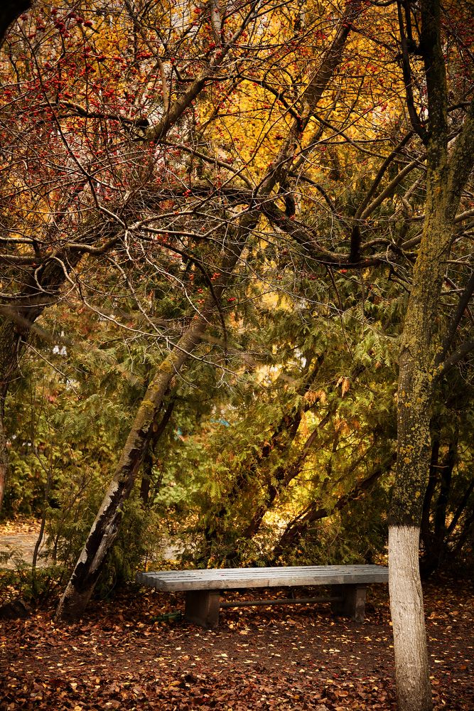 Photograph by Оксана Астрова