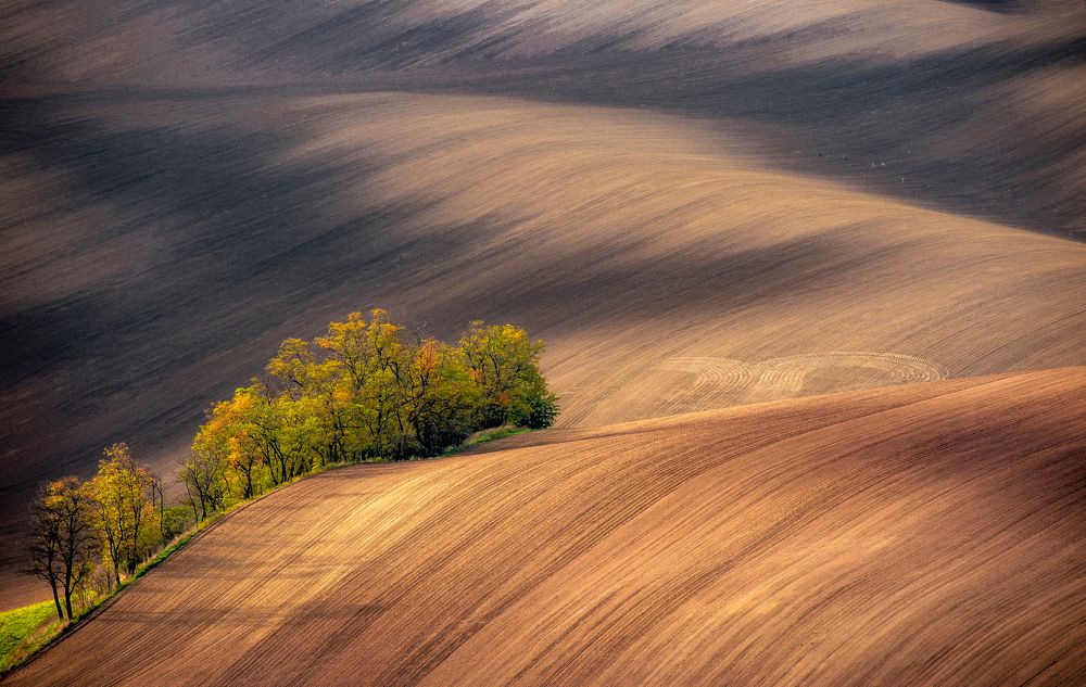 Photograph by ПАВЕЛ