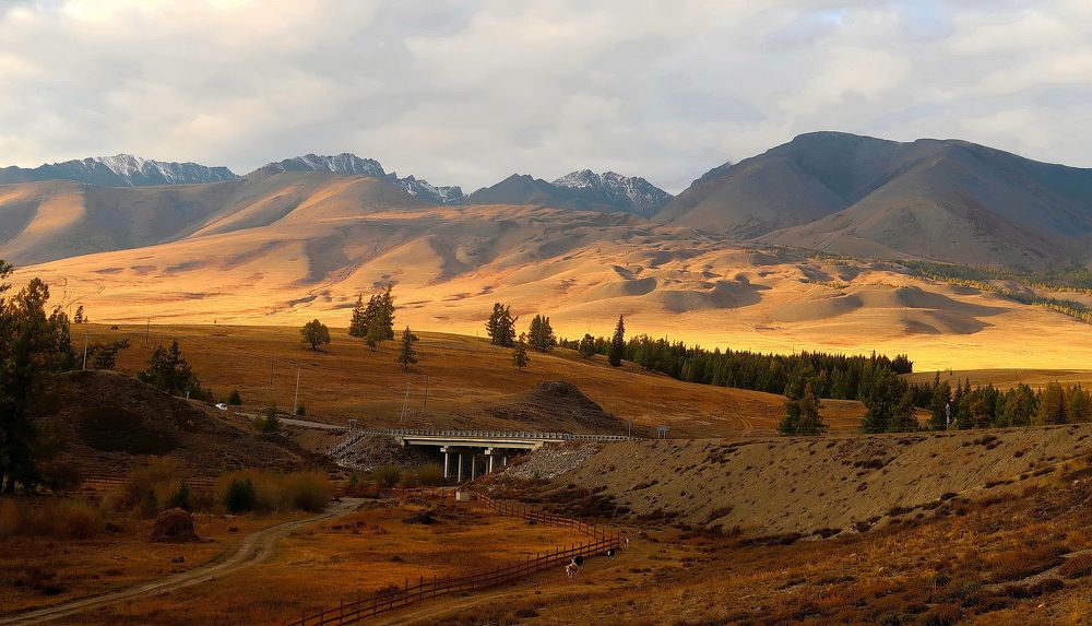 Photograph by Нина