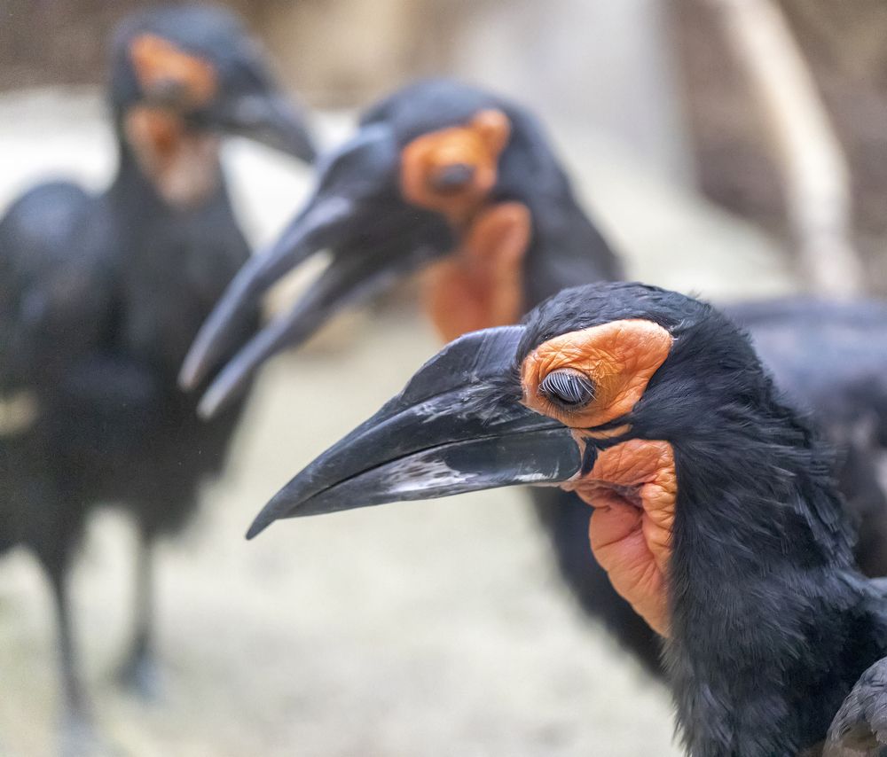 Photograph by Татьяна Феденкова