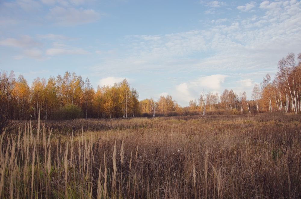 Фотография автора Войнов Дмитрий