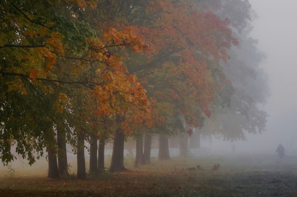 Photograph by Елена Кошелева