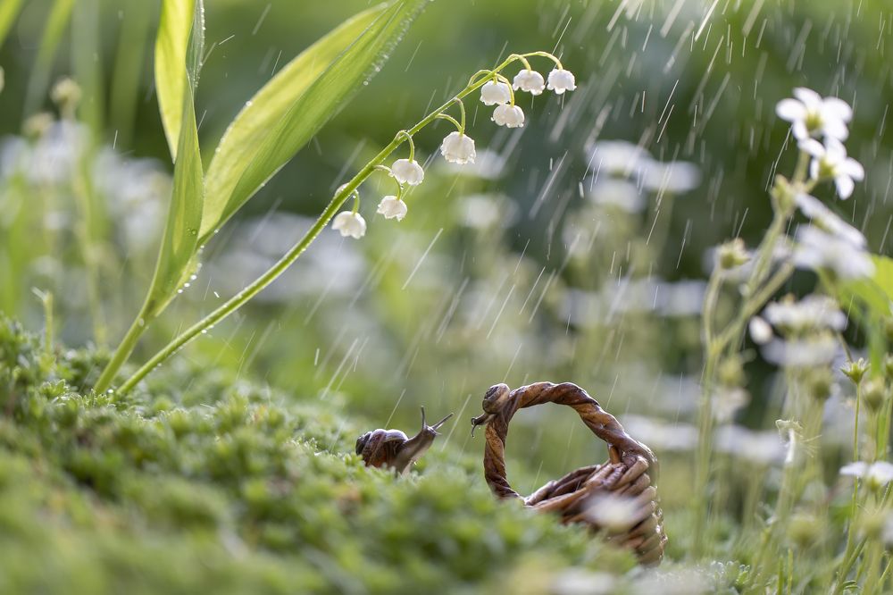 Photograph by Татьяна Феденкова