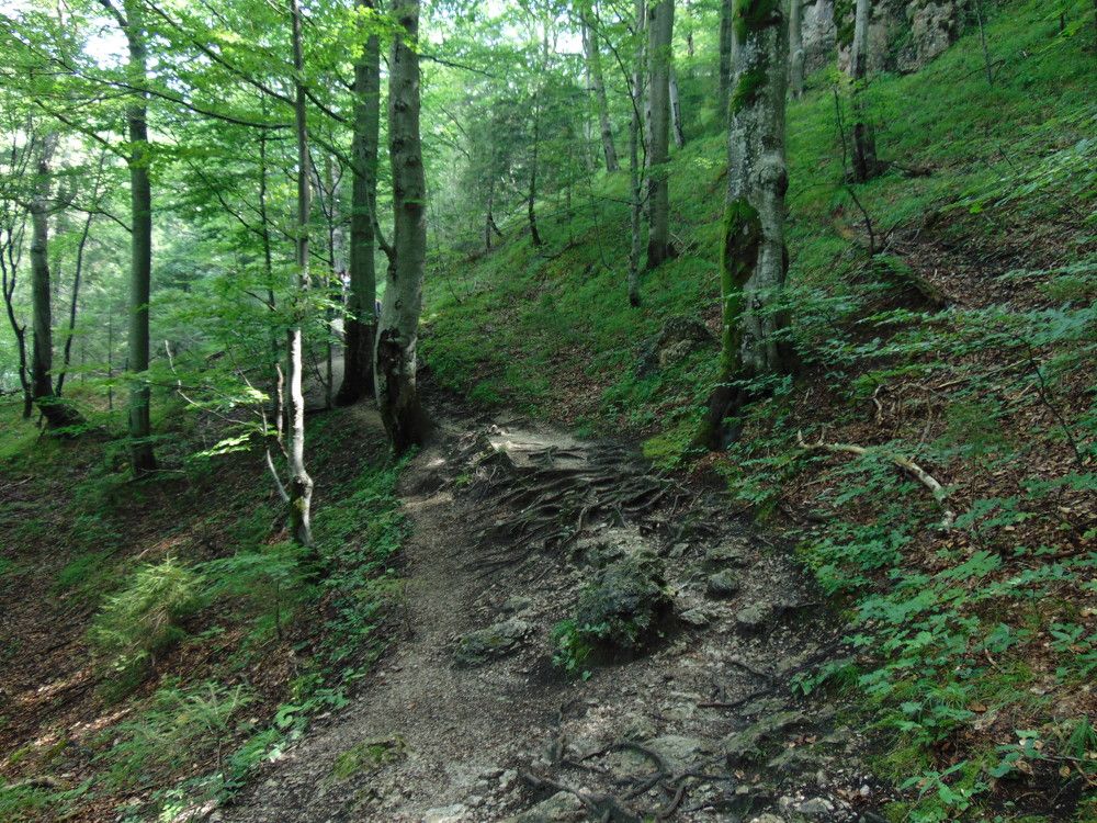 Photograph by Anna Veľasová