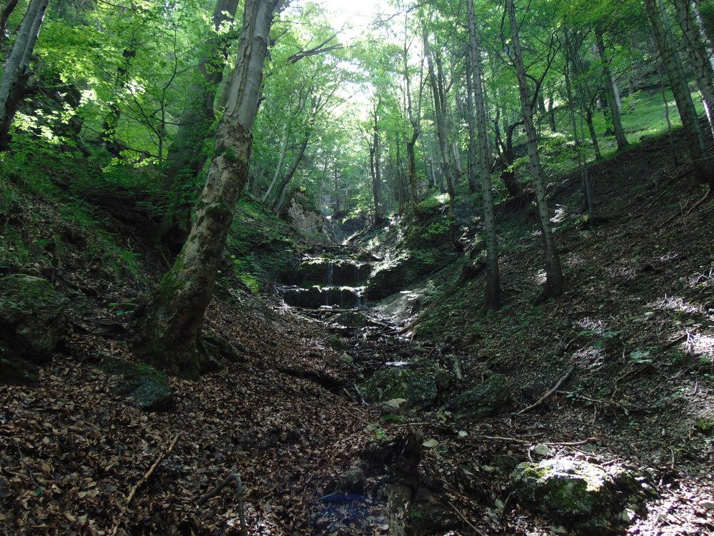 Photograph by Anna Veľasová