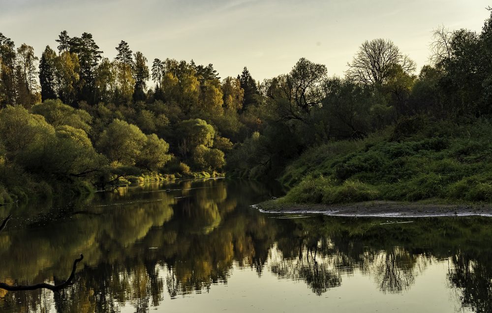 Фотография автора Виктор Парщиков