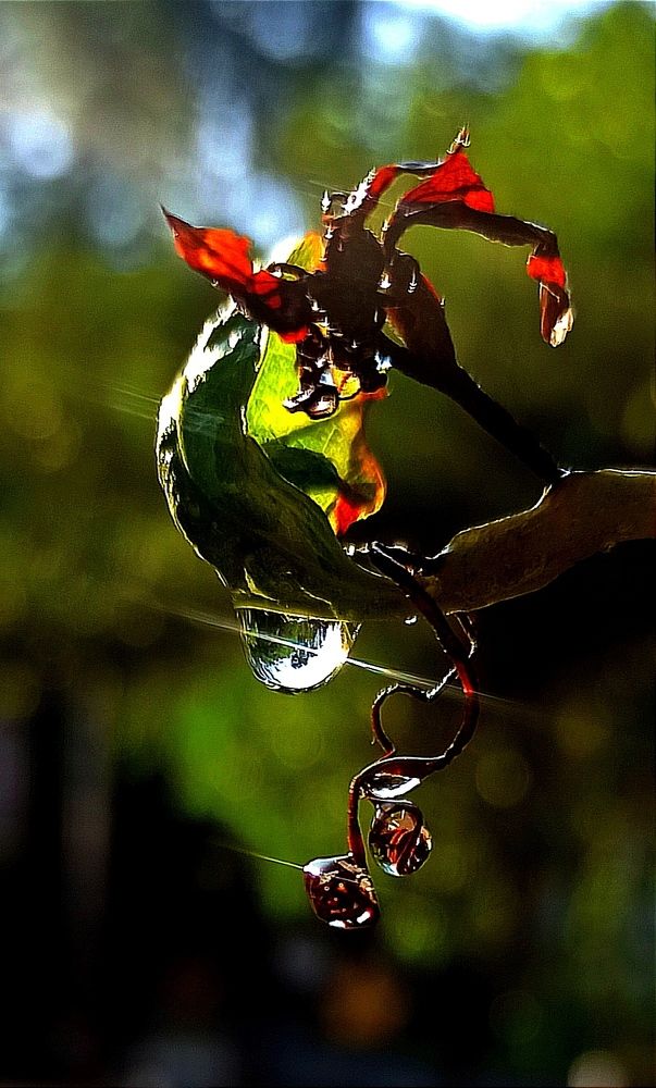 Photograph by Ольга Тихонова