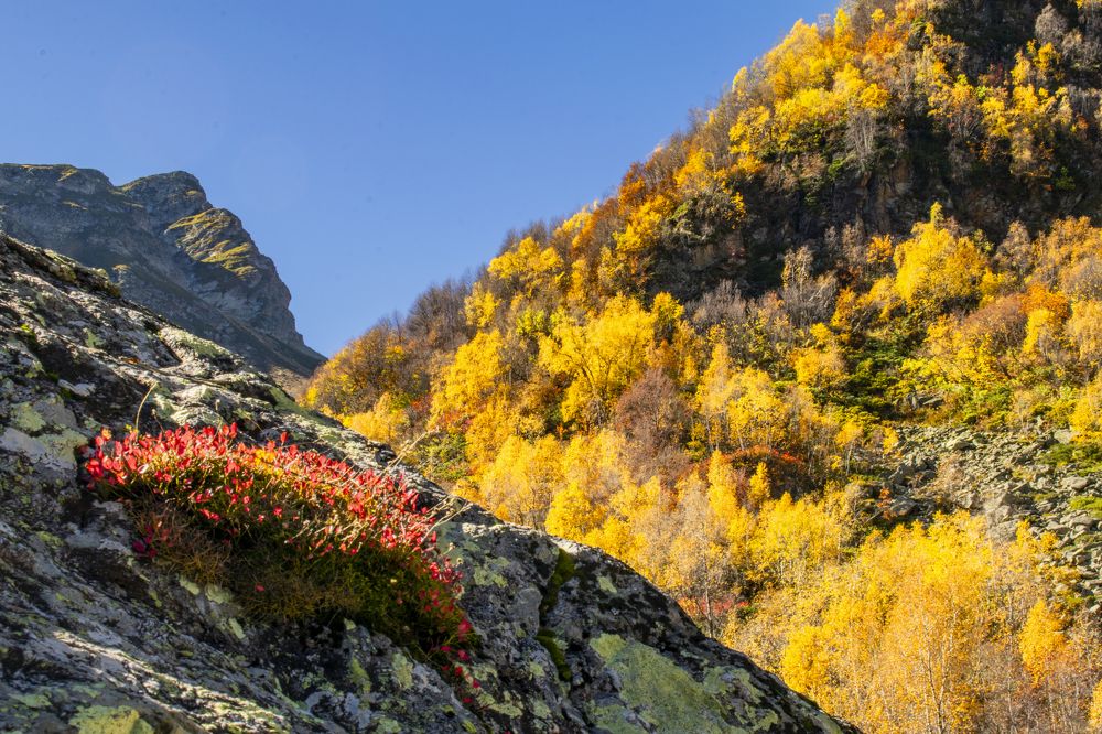 Фотография автора Игорь Белявцев