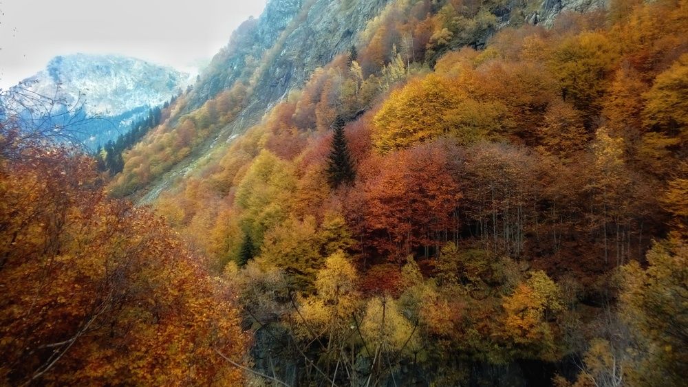 Photograph by Наталия Мельникова