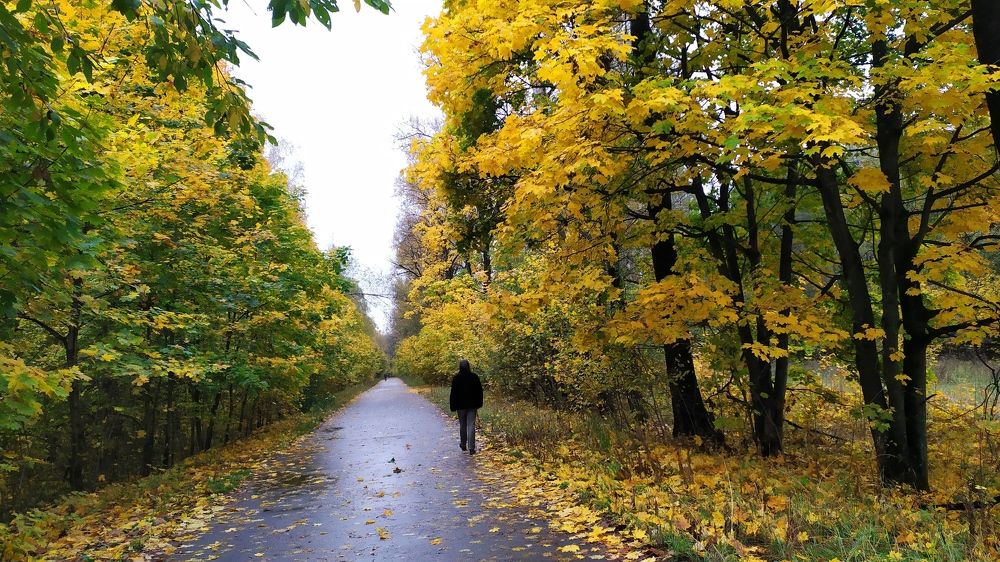 Photograph by Елена Смирнова