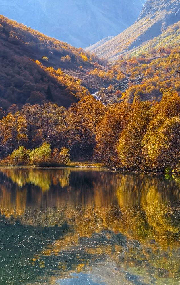 Фотография автора Светлана Зимина