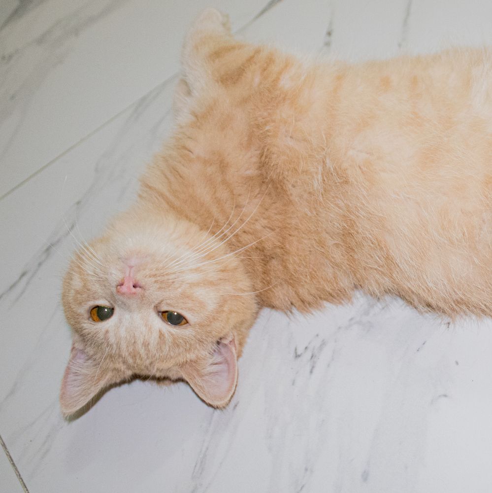 Photograph by kobra akbari