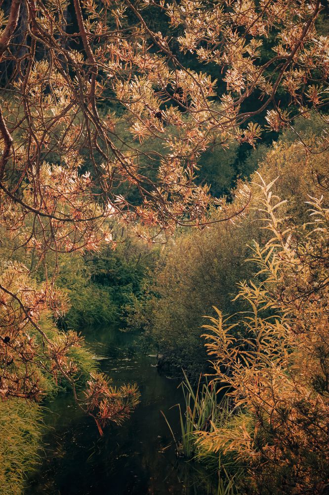 Photograph by Dina Garipova