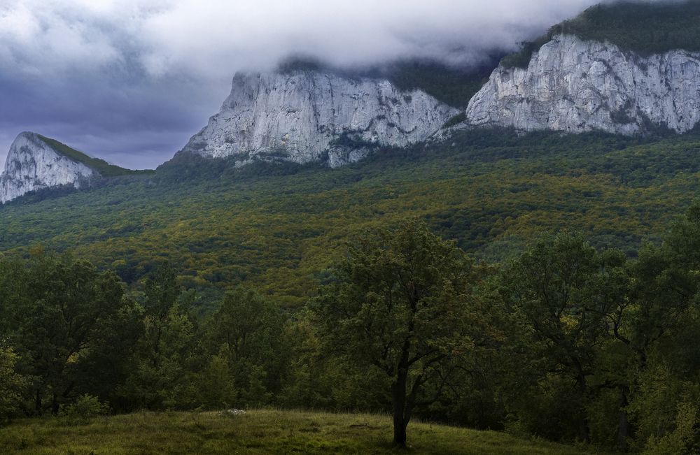 Photograph by Сергей Тишков