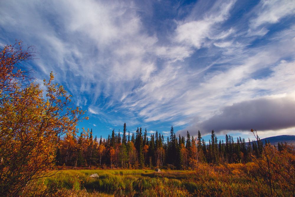 Photograph by Галина Андреева