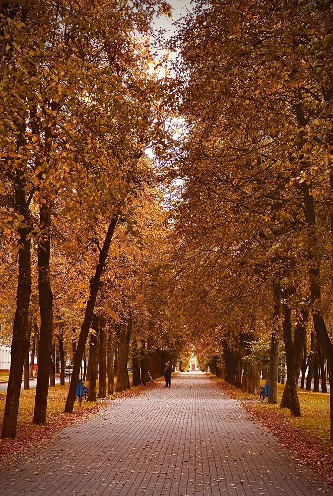 Photograph by Наумова Татьяна