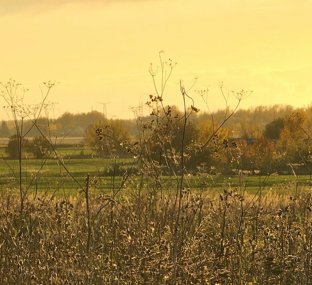 Photograph by Elena Neprosh