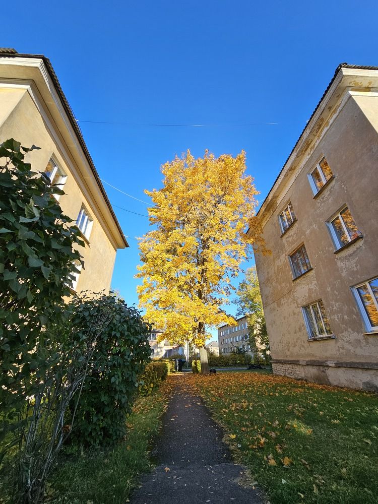 Photograph by Elena Neprosh