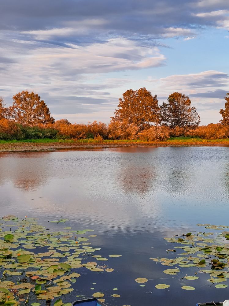 Фотография автора Любовь