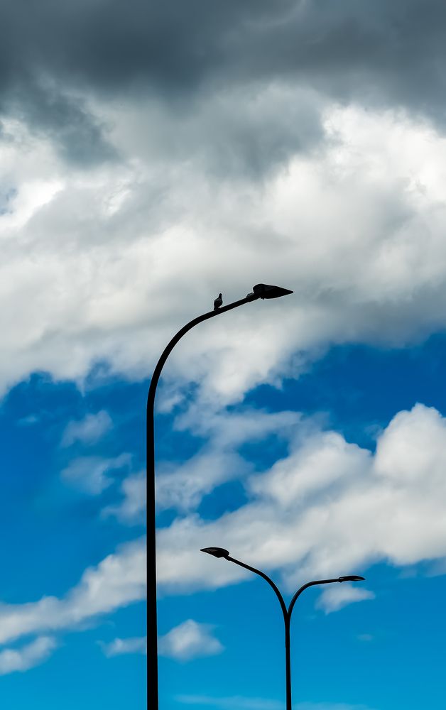 The soul's voice - op.107675452112202