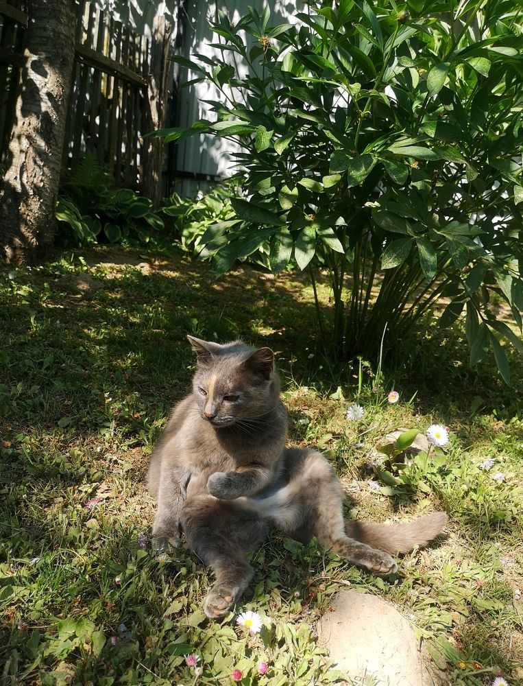 Photograph by Екатерина Борисовна Кузьмина