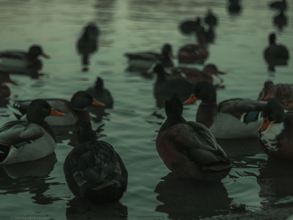 Фотография автора Alexander Titov