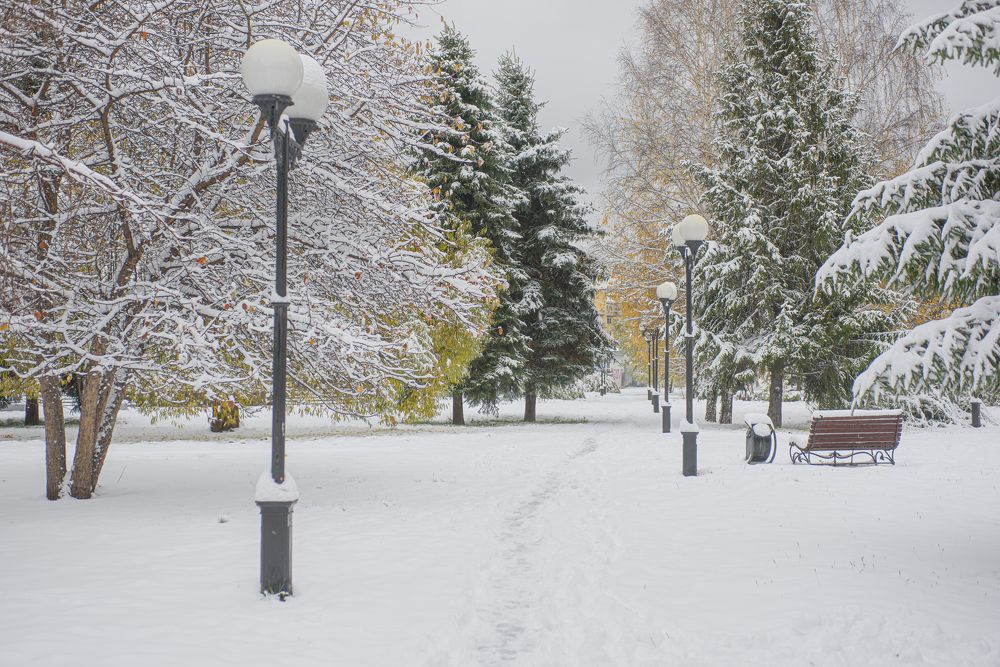 Photograph by Михаил Соколов