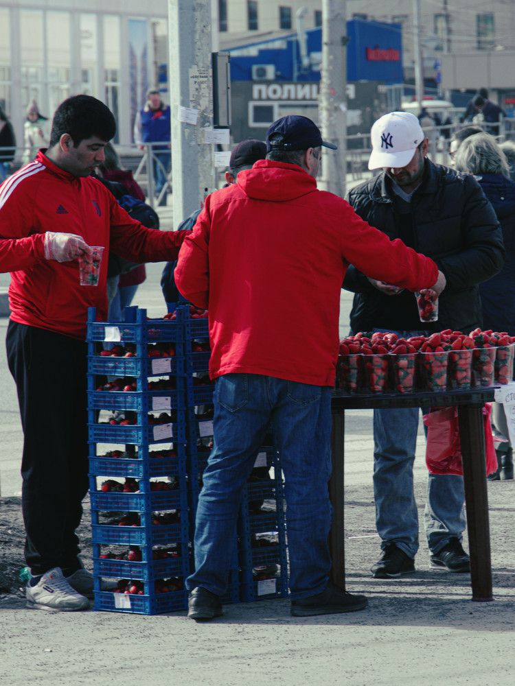Фотография автора Екатерина Першина