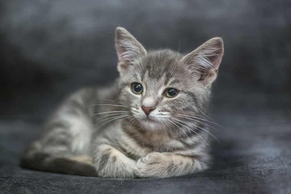 Photograph by Сергей Алексеев