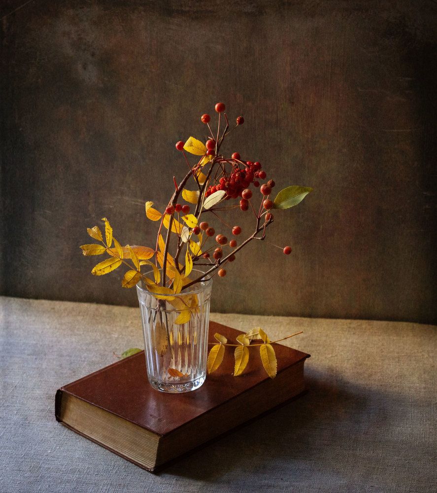 Фотография автора Илья Берт