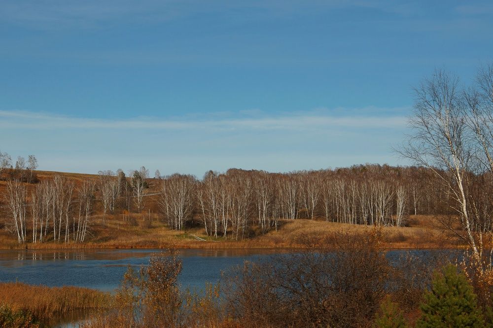 Фотография автора Екатерина Першина