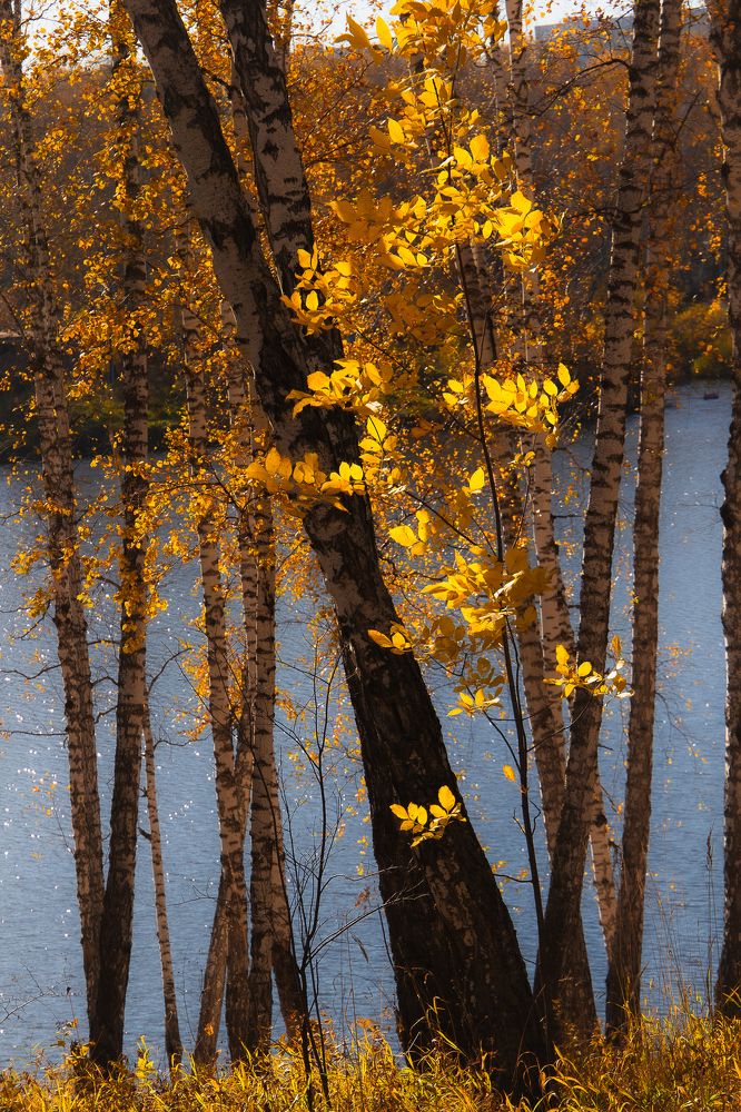 Фотография автора Екатерина Першина