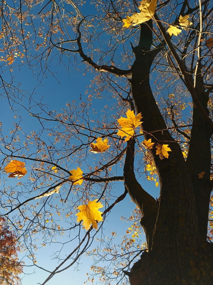 Фотография автора Юрий Звонарев