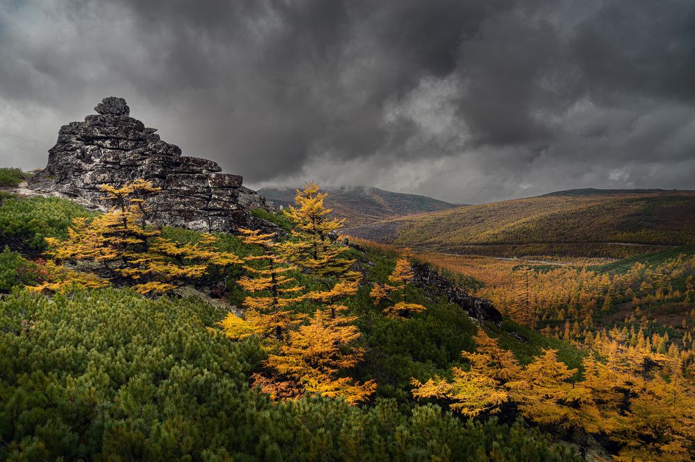 Photograph by Светлана Гореликова