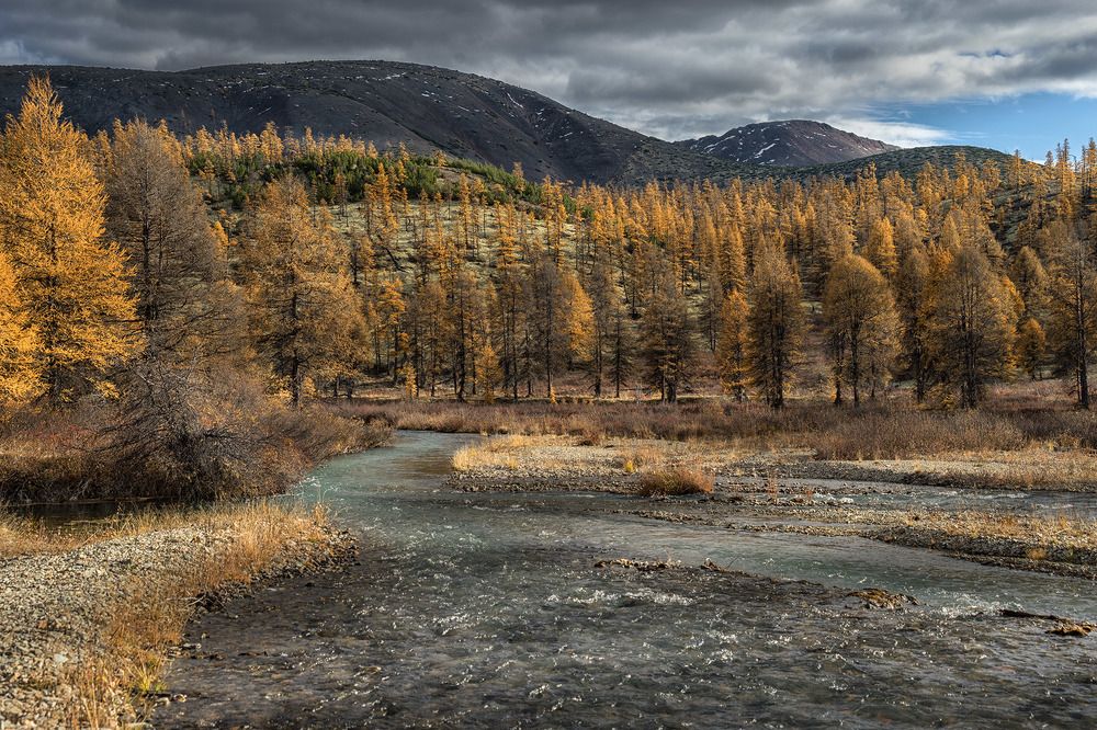 Photograph by Светлана Гореликова