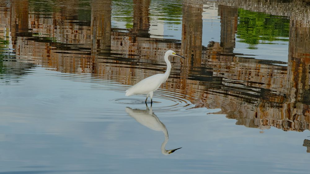 Photograph by Андрей Калинин