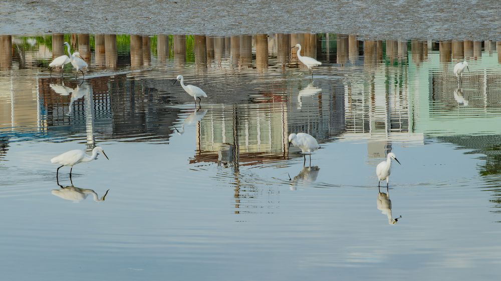 Photograph by Андрей Калинин