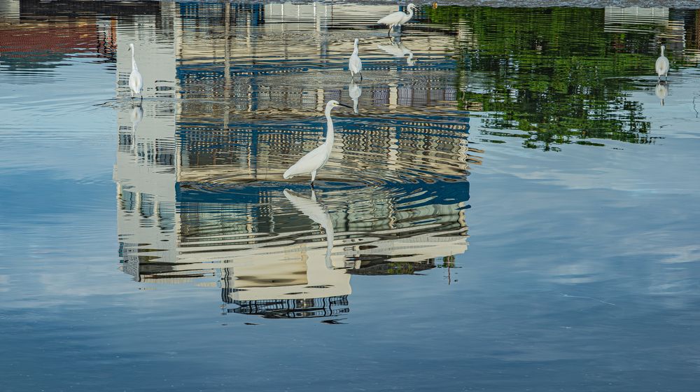 Photograph by Андрей Калинин