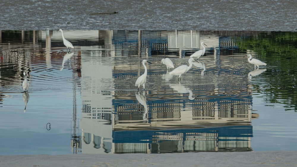 Photograph by Андрей Калинин
