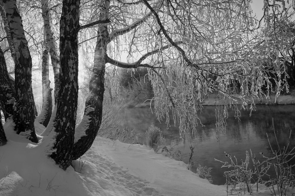 Photograph by Мишустина Татьяна