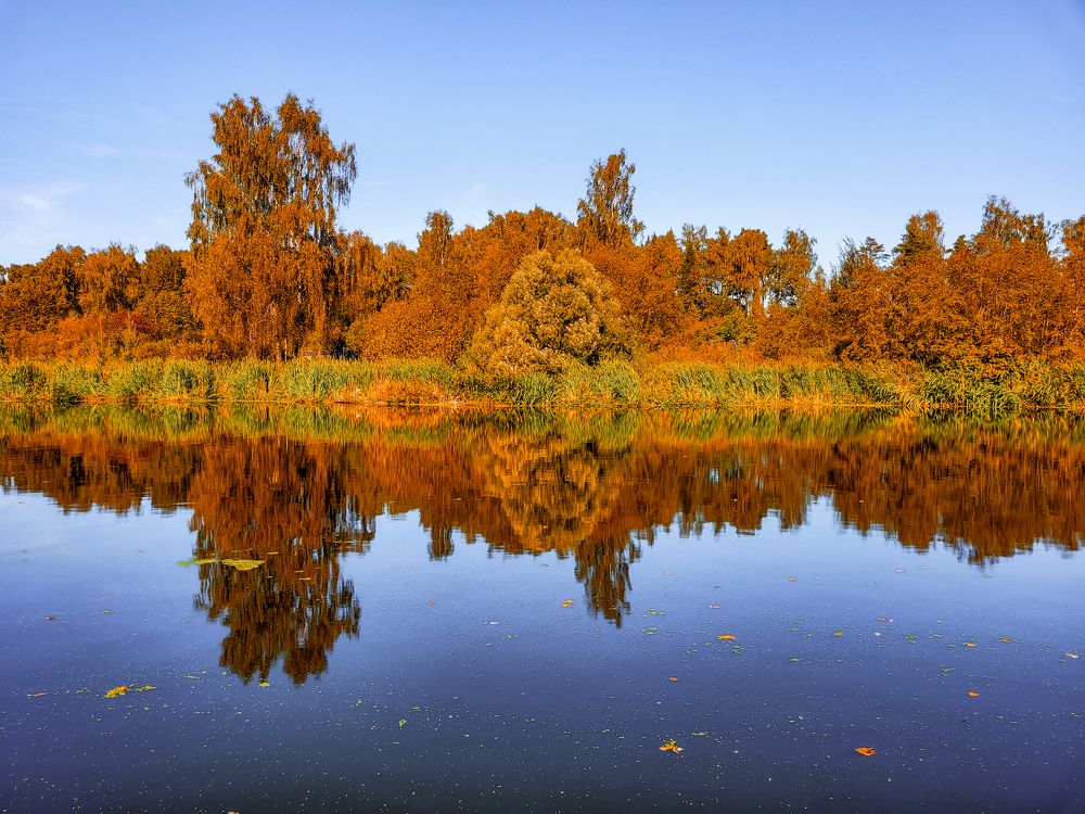 Photograph by Алексей Горин