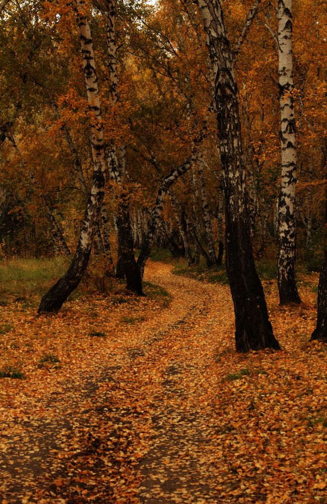 Photograph by Михаил Мостовой