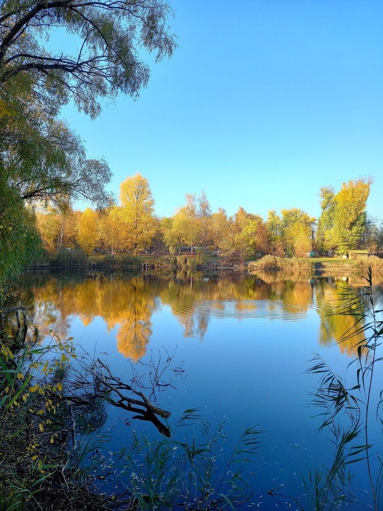 Фотография автора Oksana Podgorodetska