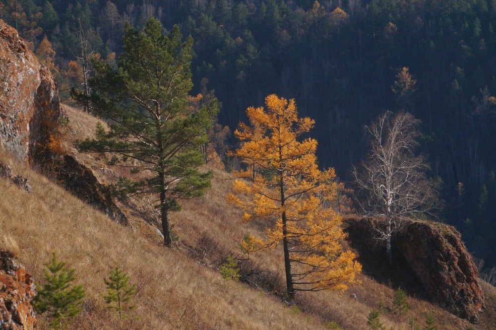 Photograph by Владимир Семиченко