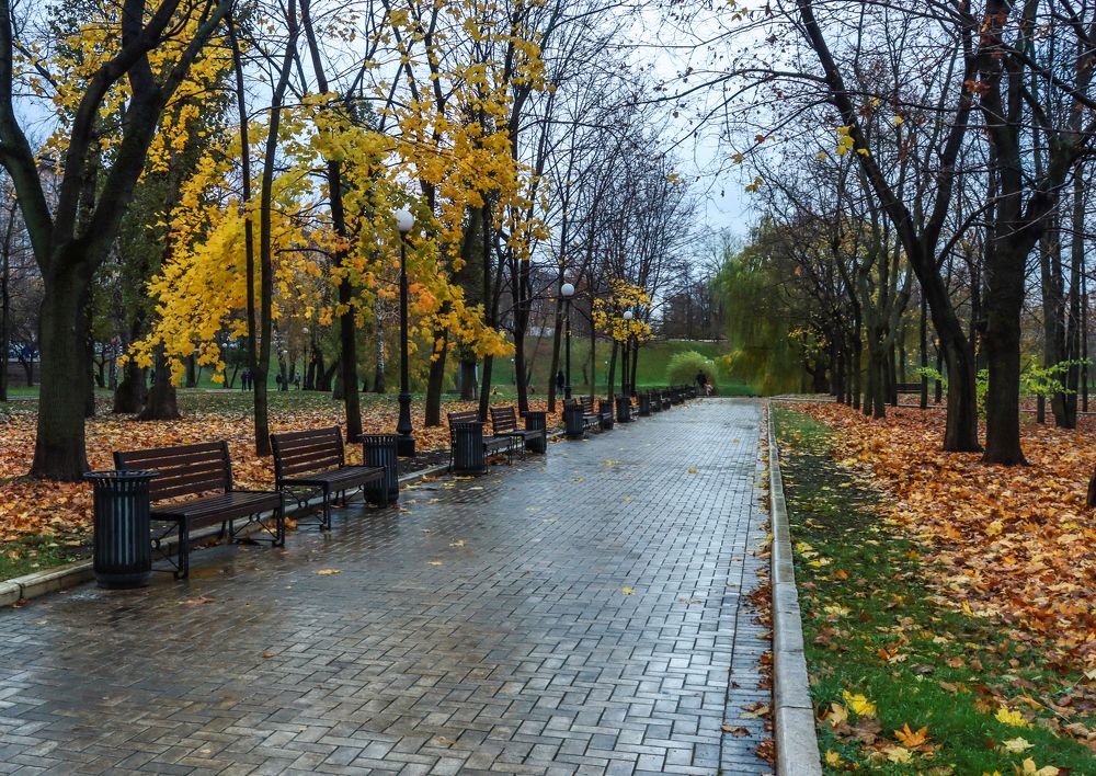 Photograph by Лидия Чугришина