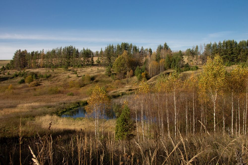 Photograph by Дарья Улюсова