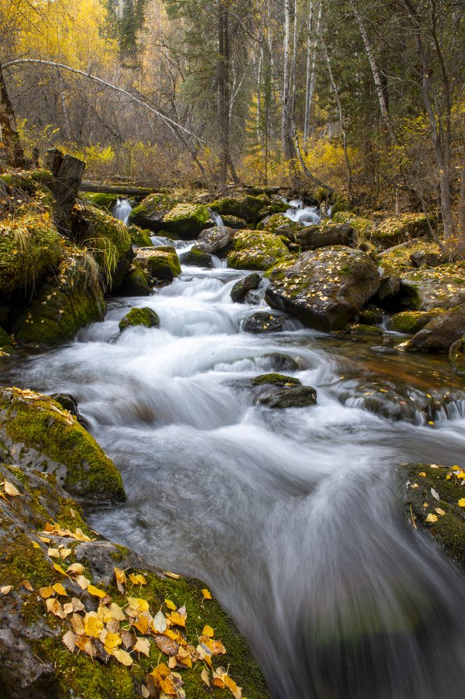 Photograph by Сергей Шерстнев