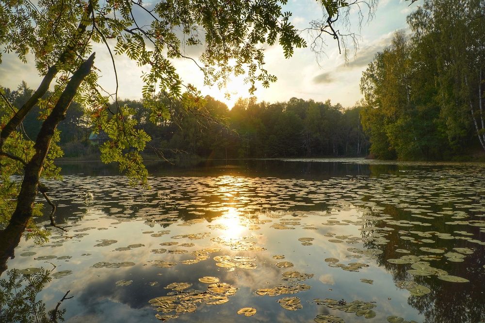 Photograph by Марина Безенкина