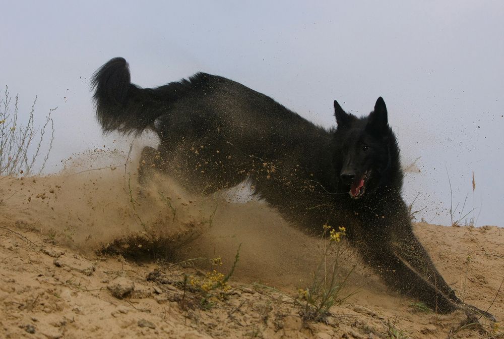 Фотография автора Надежда Лисицына