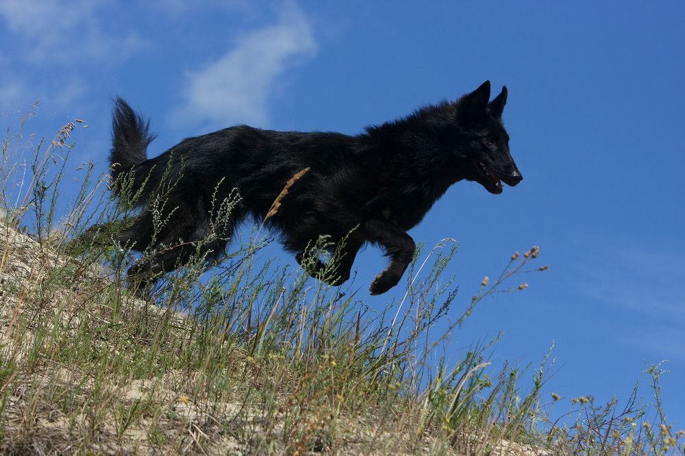 Фотография автора Надежда Лисицына